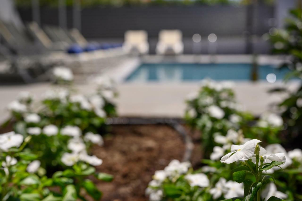 Athina Suites Luxury Suites Near The Sea Platanias Platanés Esterno foto